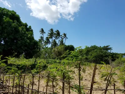 20160520_112222 (Large).jpg